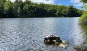 Randonnée Marche Chiny - Vallée de l’Eau - Photo 10