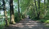 Tocht Stappen Charleroi - Gr1666 1ere Roux -Montignie sur Sambre 26 km - Photo 16