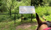 Tour Reiten Bertrimoutier - Restaurant belle vue col de sainte marie Tivio  - Photo 11