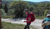 Trail Walking Nébian - Nebian et les chevrettes - Photo 2