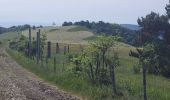 Randonnée Vélo électrique Murat-le-Quaire - 309522 Murat le Quaire / le puy en Velay  - Photo 2