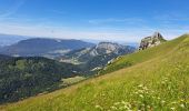 Trail Walking Bellecombe-en-Bauges - Tour de BancPlat, Dent des portes en partant du petit reposoir  - Photo 5