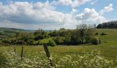 Randonnée Marche Bures-en-Bray - rando départ Bure en Bray - Photo 11