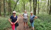 Tocht Stappen Anderlues - Anderlues 21 05 22 - Photo 2