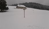 Excursión Raquetas de nieve Mouthe - Mouthe 20200309 - Photo 1