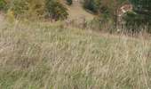 Trail Walking Septmoncel les Molunes - clavières (haut jura) - Photo 4