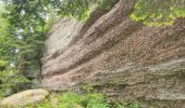 Tour Wandern Badenweiler - La Vierge Clarisse VOSGES - Photo 1