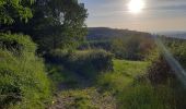 Randonnée Marche Barizey - Bourgogne à pied - Photo 4