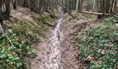 Trail Walking Huy - Solière et trou du Manto - Photo 9
