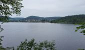 Percorso Marcia Schluchsee - Forêt Noire : tour du lac Schluchsee - Photo 7