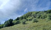 Trail Walking Ceyssat - SUPER BESSE UY DE SANCY. PUY PARIOU O - Photo 3