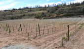 Percorso Marcia Baixas - baixas chapelle ste catherine - Photo 3