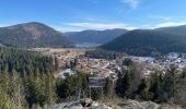 Tocht Stappen Gérardmer - Roches de Bruyères et du Page, Gorges du Roitelet - Photo 2