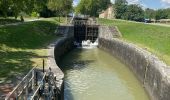 Randonnée Cyclotourisme Avignonet-Lauragais - Canal du Midi - Photo 5