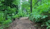 Randonnée Marche Murol - Tour du Tartaret - Photo 8