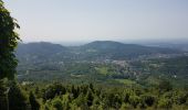 Trail Walking Unknown - Baden Baden - châteaux Hohenbaden et Eberstein - coliine Merkurberg - Photo 11