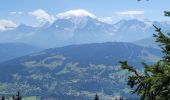 Trail Walking Combloux - 230815 - Photo 2