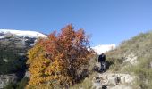 Tocht Stappen Rabou - gorge du petit Buëch - Photo 4