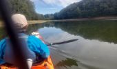 Randonnée Canoë - kayak Canet-de-Salars - Lac de Pareloup côté est - Photo 6