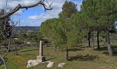 Tocht Mountainbike Remoulins - Vtt montfrin aramon saze - Photo 1