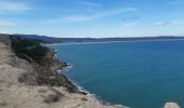 Trail Walking Leucate - la franqui - phare du cap de leucate / retour par la falaise et la plage  - Photo 14