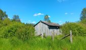 Tocht Stappen Vielsalm - fraiture - plateau des tailles  - Photo 11