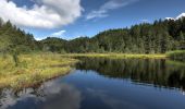 Tocht Te voet Seeboden am Millstätter See - 23: Samkt Wolfgang - Egelsee - Photo 1