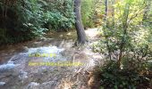 Tour Wandern Gémenos - Parc de St Pons anc. Glacière - Photo 1