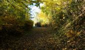 Tocht Stappen Vitrimont - Circuit des Quatre Vents - Photo 1