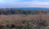 Tocht Stappen Luik - entre ourthe et lande (privatisée) - Photo 2
