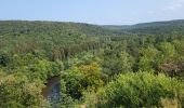 Trail Walking Florenville - Les Epioux 200824 - Photo 11