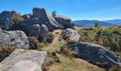 Tocht Stappen Metzeral - Petit-Ballon via Col du Hilsenfirst - Photo 15