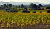 Percorso Marcia Le Castellet - Trace_Ste_Anne - Photo 19