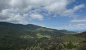 Tocht  Collioure - Vignes et montagne Collioure  - Photo 16