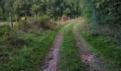 Trail Walking Virton - Sentier des Dragons  -  Marche_4kms - Photo 11