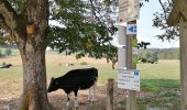 Excursión Senderismo Léglise - Bois d'Ospau et balade du Polissoir - Photo 6