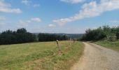 Tour Wandern Bouillon - Belle rando très sportive au départ de Rochehaut  - Photo 10