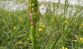 Randonnée Marche Le Sauze-du-Lac - balade balcons du lac 300521 - Photo 20