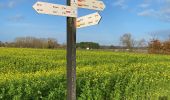 Trail Walking Mechelen - S-GR Dijleland : Muizen - Mechelen - Eppegem - Photo 4
