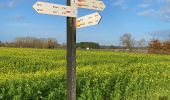 Tocht Stappen Mechelen - S-GR Dijleland : Muizen - Mechelen - Eppegem - Photo 4