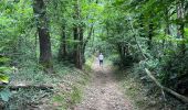 Excursión  Chavannes - Étang du Mouchet , Chavannes, Chantemerle les Blés  - Photo 4