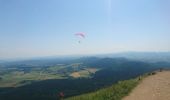 Excursión Senderismo Orcines - ascension puy de dôme départ col de ceyssat par chemin des muletiers 2019-07-03 - Photo 6