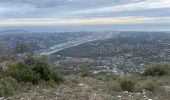 Trail Walking Saint-Jeannet - Baous de St Jeannet et de la Gaude - Photo 13