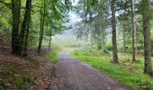 Trail Walking Manhay - Dochamps 240924 - Photo 2