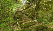 Excursión Senderismo Oberhaslach - Hohenstein, Petit et Grand Ringelstein - Photo 19