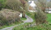 Trail On foot West Cork - Walk 5 - Lough Hyne (7km) - Photo 4