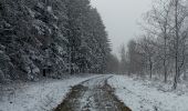 Trail Walking Aywaille - Harze - Photo 3