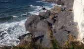 Excursión Senderismo Saint-Raphaël - sentier des douaniers Géologie/ Botanique - Photo 19