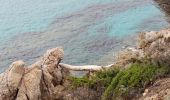 Trail Walking Bonifacio - très belle plage - Photo 6