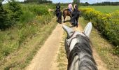 Tour Reiten Vielsalm - Mont-le-Soie Boucle orange - Photo 12